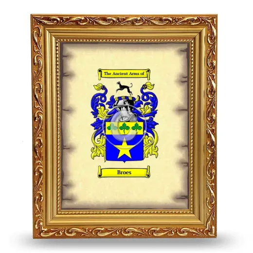 Broes Coat of Arms Framed - Gold