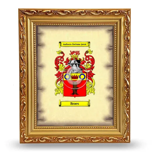 Broes Coat of Arms Framed - Gold