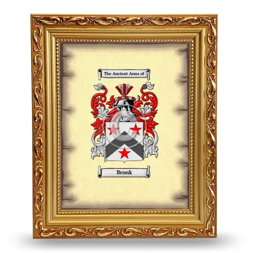 Bronk Coat of Arms Framed - Gold