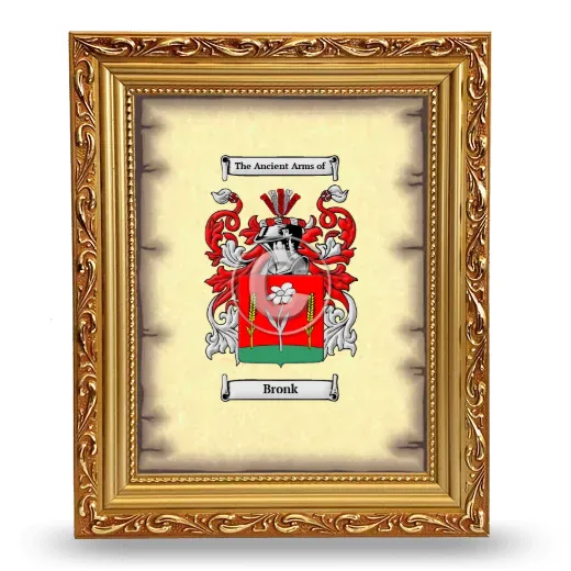 Bronk Coat of Arms Framed - Gold