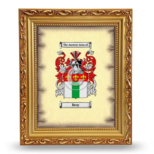 Broy Coat of Arms Framed - Gold