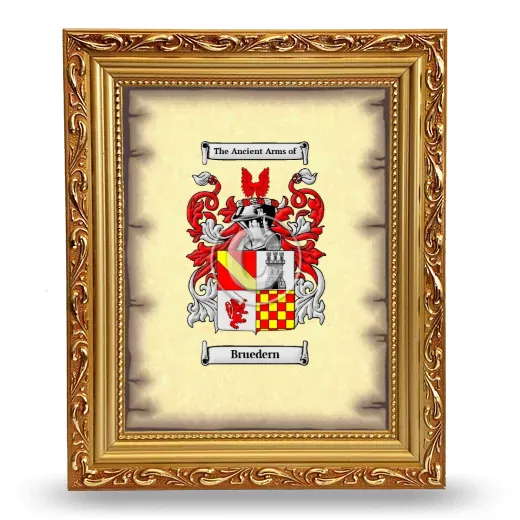 Bruedern Coat of Arms Framed - Gold
