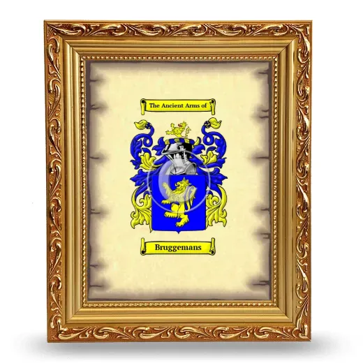 Bruggemans Coat of Arms Framed - Gold