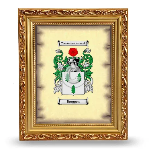 Bruggen Coat of Arms Framed - Gold