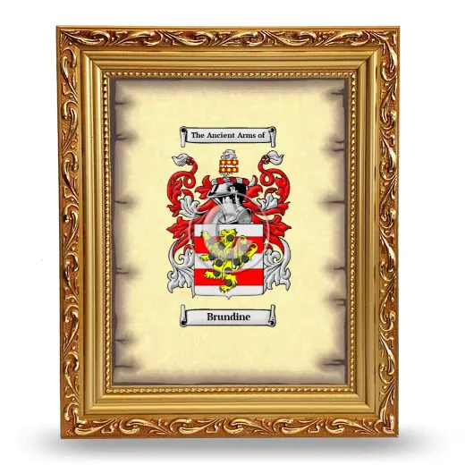 Brundine Coat of Arms Framed - Gold