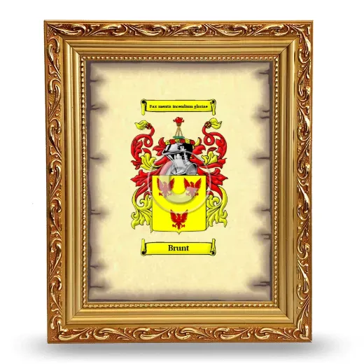 Brunt Coat of Arms Framed - Gold