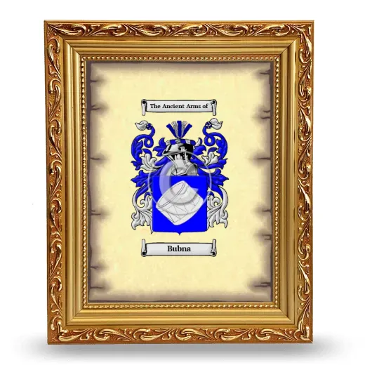 Bubna Coat of Arms Framed - Gold