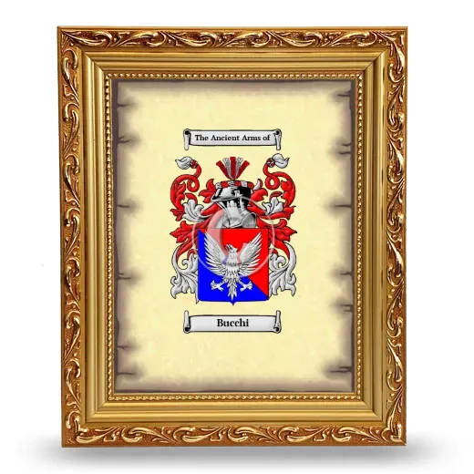 Bucchi Coat of Arms Framed - Gold