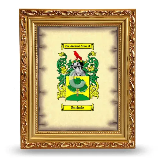 Bucholz Coat of Arms Framed - Gold