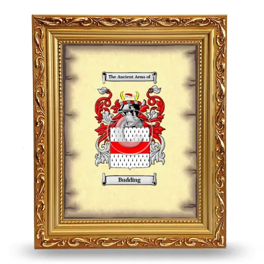 Budding Coat of Arms Framed - Gold