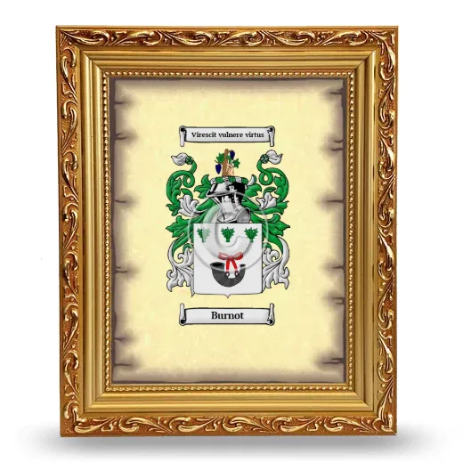 Burnot Coat of Arms Framed - Gold