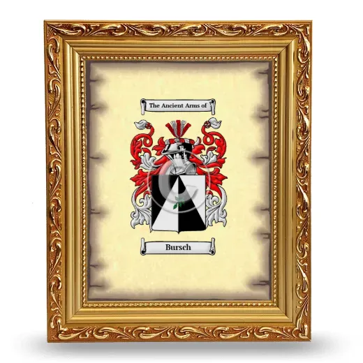 Bursch Coat of Arms Framed - Gold