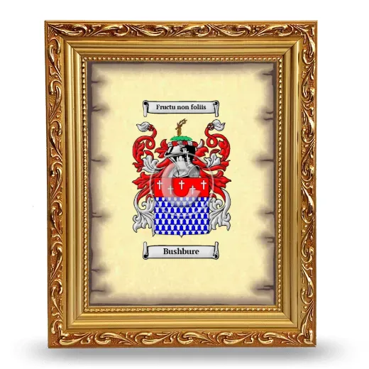 Bushbure Coat of Arms Framed - Gold