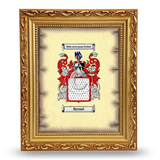 Byrnul Coat of Arms Framed - Gold