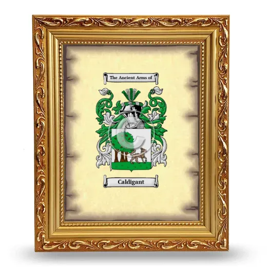 Caldigant Coat of Arms Framed - Gold