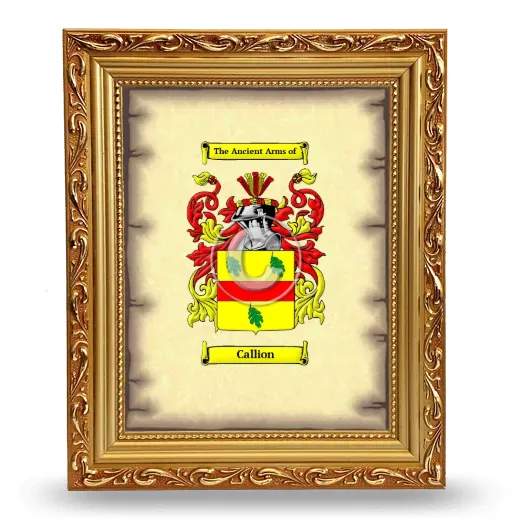 Callion Coat of Arms Framed - Gold
