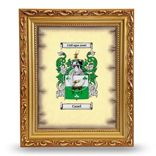 Canel Coat of Arms Framed - Gold