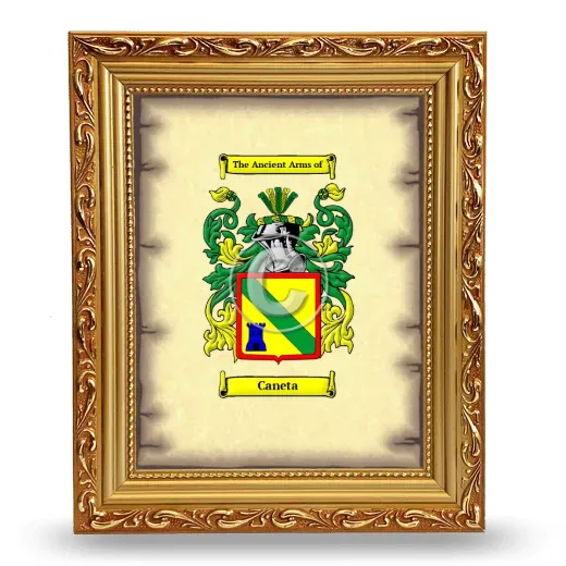 Caneta Coat of Arms Framed - Gold
