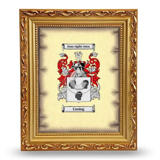 Caning Coat of Arms Framed - Gold