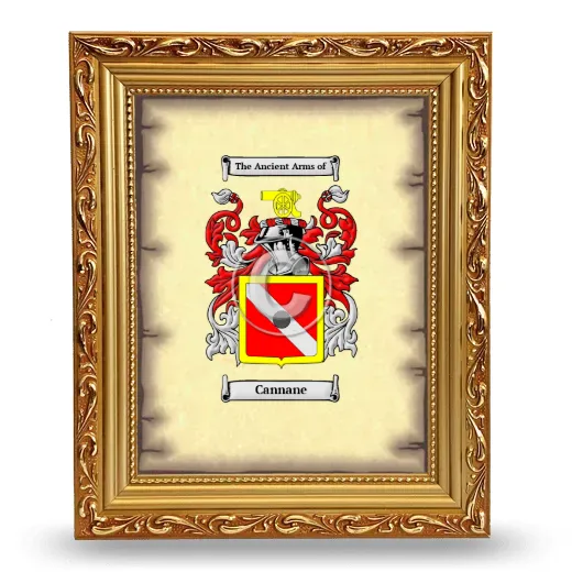 Cannane Coat of Arms Framed - Gold
