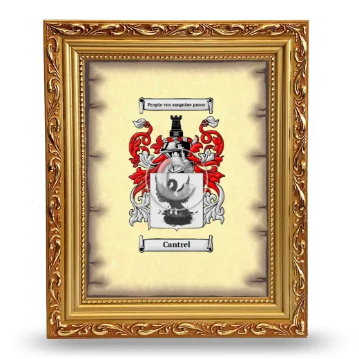 Cantrel Coat of Arms Framed - Gold