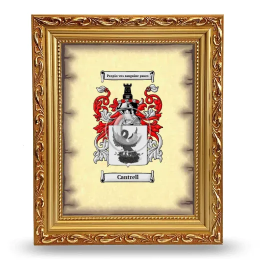 Cantrell Coat of Arms Framed - Gold