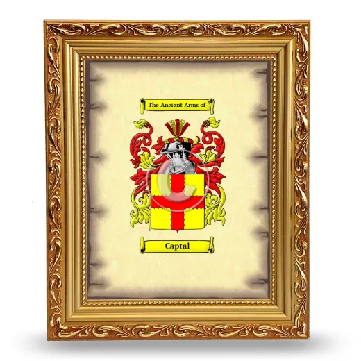 Captal Coat of Arms Framed - Gold
