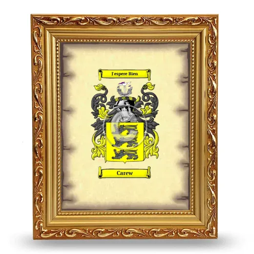 Carew Coat of Arms Framed - Gold