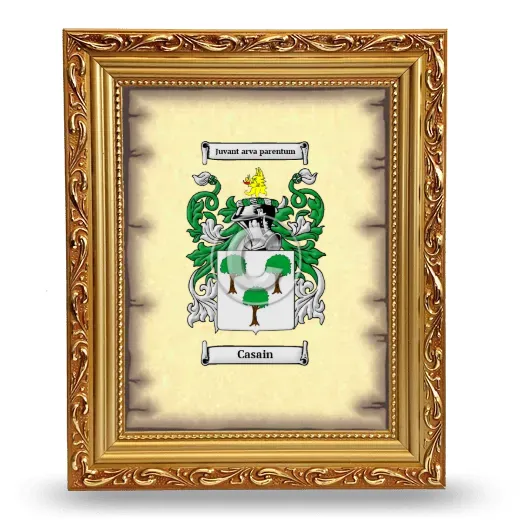 Casain Coat of Arms Framed - Gold