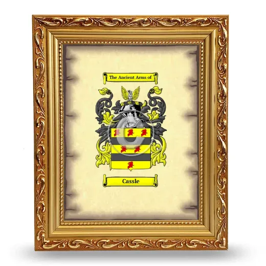 Cassle Coat of Arms Framed - Gold