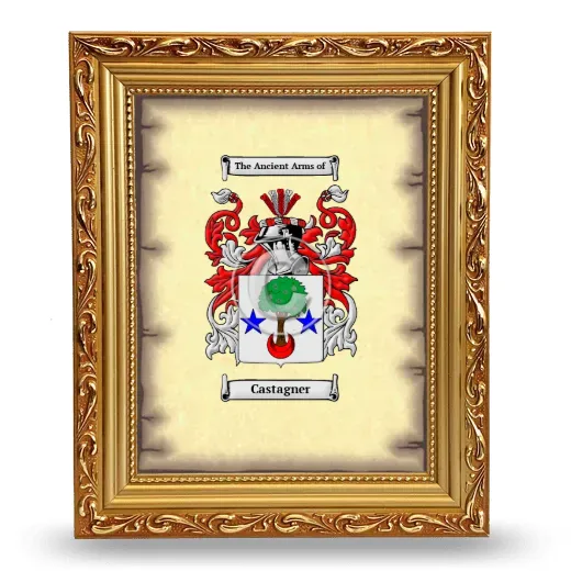 Castagner Coat of Arms Framed - Gold