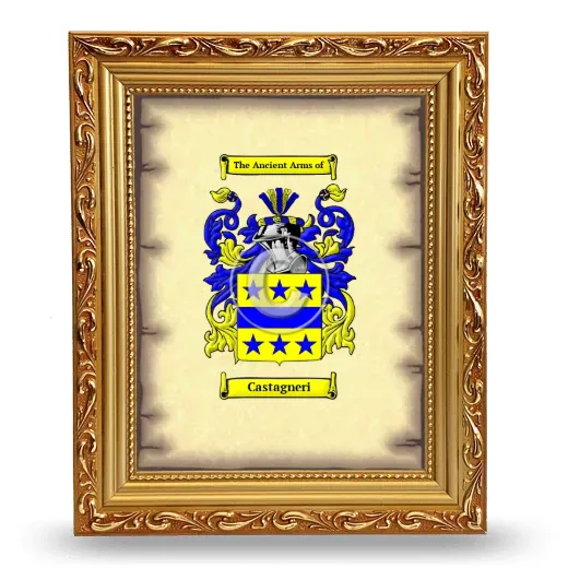 Castagneri Coat of Arms Framed - Gold