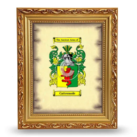 Cattermole Coat of Arms Framed - Gold