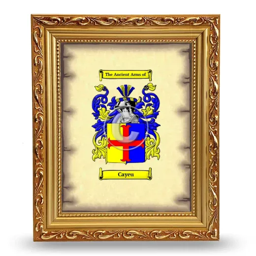 Cayeu Coat of Arms Framed - Gold