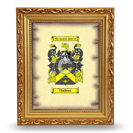 Challeen Coat of Arms Framed - Gold