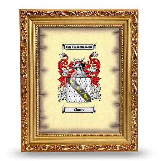 Chany Coat of Arms Framed - Gold