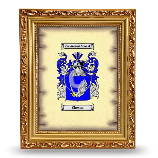 Chesne Coat of Arms Framed - Gold