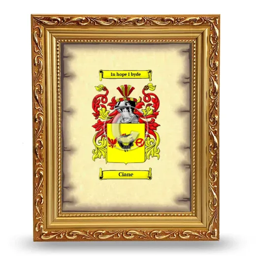 Ciane Coat of Arms Framed - Gold