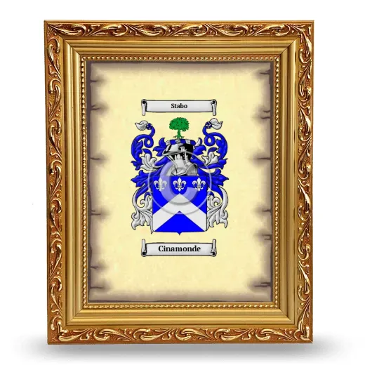 Cinamonde Coat of Arms Framed - Gold