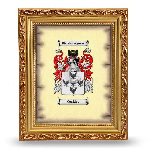 Coakley Coat of Arms Framed - Gold