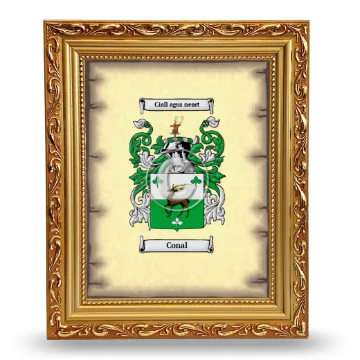 Conal Coat of Arms Framed - Gold