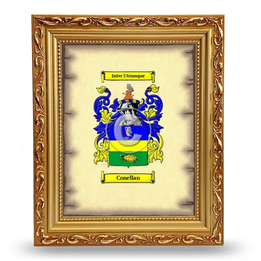 Conellan Coat of Arms Framed - Gold