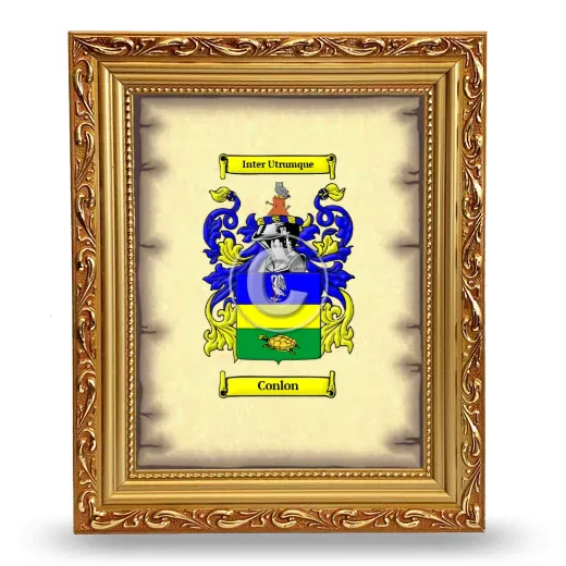 Conlon Coat of Arms Framed - Gold
