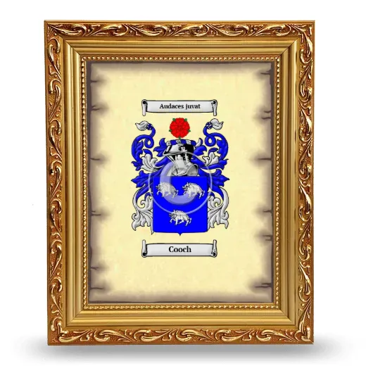 Cooch Coat of Arms Framed - Gold