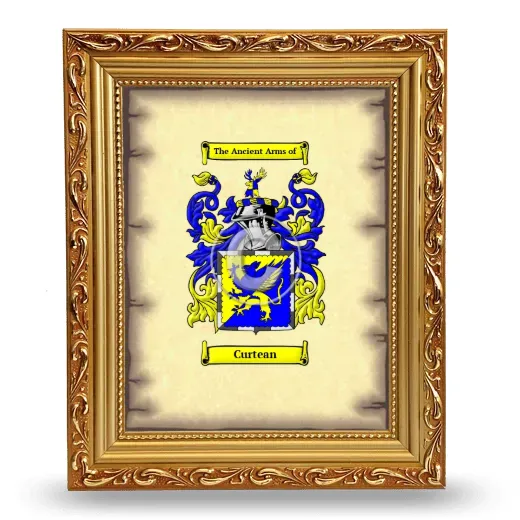 Curtean Coat of Arms Framed - Gold