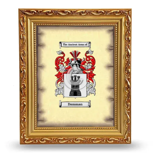 Damman Coat of Arms Framed - Gold