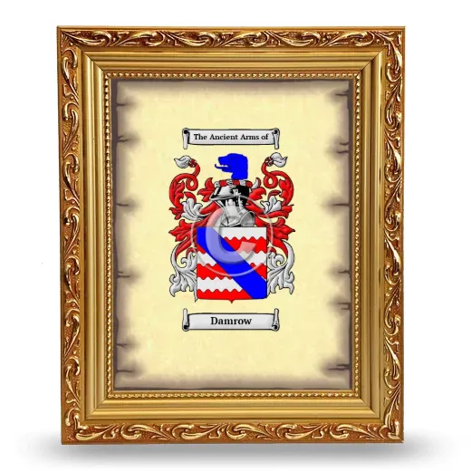 Damrow Coat of Arms Framed - Gold