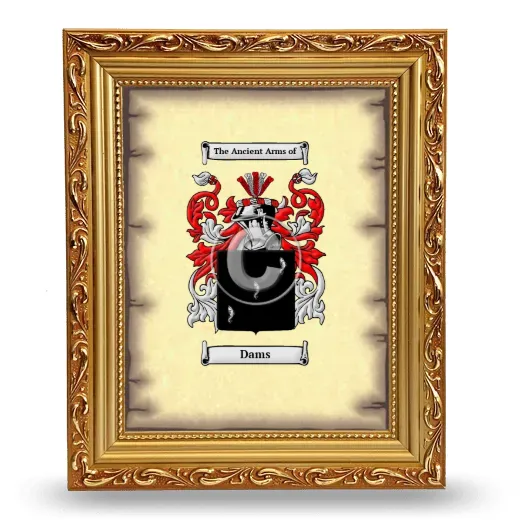 Dams Coat of Arms Framed - Gold