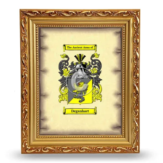 Deganhart Coat of Arms Framed - Gold
