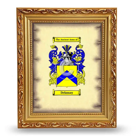 Delamay Coat of Arms Framed - Gold